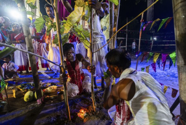 Members of the tea tribe community install Karam tree as they celebrate the vibrant Karam Festival with traditional rituals at a tea estate in Bokakhat, Assam, India, on 3 September 2025. Karam Puja, one of the most popular harvest festivals, is a celebration dedicated to the Karam tree. This tree symbolizes fertility, prosperity, and all things auspicious. During the festival, Karma dancers carry a branch of the Karam tree while singing and dancing