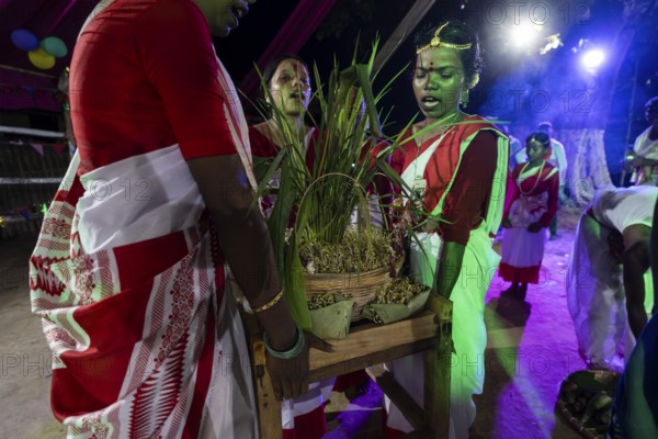 Members of the tea tribe community celebrate the vibrant Karam Festival with traditional rituals at a tea estate in Bokakhat, Assam, India, on 3 September 2025. Karam Puja, one of the most popular harvest festivals, is a celebration dedicated to the Karam tree. This tree symbolizes fertility, prosperity, and all things auspicious. During the festival, Karma dancers carry a branch of the Karam tree while singing and dancing
