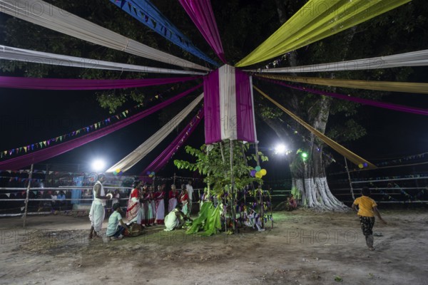 Members of the tea tribe community celebrate the vibrant Karam Festival with traditional rituals at a tea estate in Bokakhat, Assam, India, on 3 September 2025. Karam Puja, one of the most popular harvest festivals, is a celebration dedicated to the Karam tree. This tree symbolizes fertility, prosperity, and all things auspicious. During the festival, Karma dancers carry a branch of the Karam tree while singing and dancing