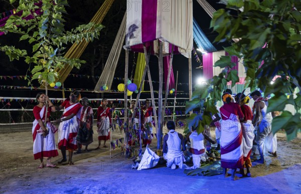 Members of the tea tribe community holds a karam tree as they celebrate the vibrant Karam Festival with traditional rituals at a tea estate in Bokakhat, Assam, India, on 3 September 2025. Karam Puja, one of the most popular harvest festivals, is a celebration dedicated to the Karam tree. This tree symbolizes fertility, prosperity, and all things auspicious. During the festival, Karma dancers carry a branch of the Karam tree while singing and dancing