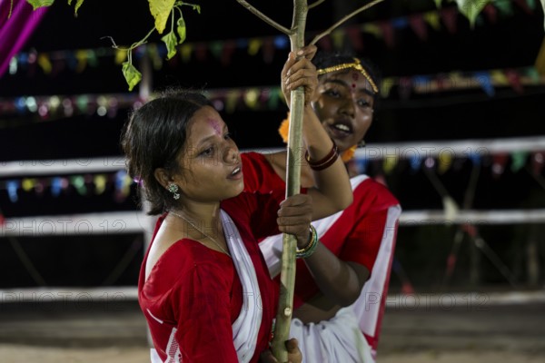 Members of the tea tribe community holds a karam tree as they celebrate the vibrant Karam Festival with traditional rituals at a tea estate in Bokakhat, Assam, India, on 3 September 2025. Karam Puja, one of the most popular harvest festivals, is a celebration dedicated to the Karam tree. This tree symbolizes fertility, prosperity, and all things auspicious. During the festival, Karma dancers carry a branch of the Karam tree while singing and dancing