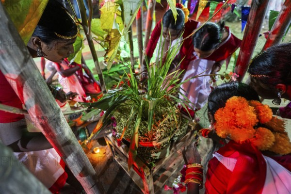 Members of the tea tribe community celebrate the vibrant Karam Festival with traditional rituals at a tea estate in Bokakhat, Assam, India, on 3 September 2025. Karam Puja, one of the most popular harvest festivals, is a celebration dedicated to the Karam tree. This tree symbolizes fertility, prosperity, and all things auspicious. During the festival, Karma dancers carry a branch of the Karam tree while singing and dancing