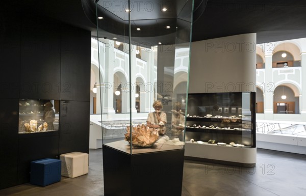 FocusTerra Geological Museum of ETH Zurich, Department of Earth Sciences, Sonneggstrasse, Zurich, Switzerland