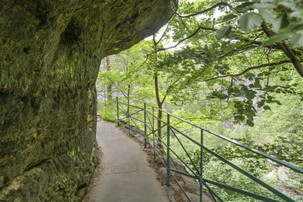 Hiking trail to the Pravcicka Brana Prebisch Gate near Hrensko, Elbe Sandstone Mountains, Czech Republic