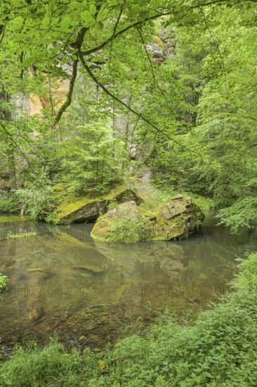 River Kamnitz near Hrensko, Czech Republic