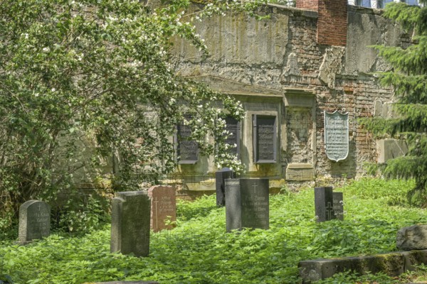 St Nicolai and St Marien Cemetery, Prenzlauer Allee, Prenzlauer Berg, Pankow, Berlin, Germany