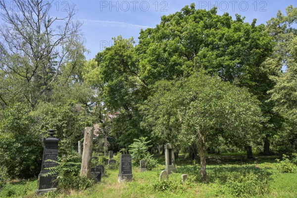 St Nicolai and St Marien Cemetery, Prenzlauer Allee, Prenzlauer Berg, Pankow, Berlin, Germany