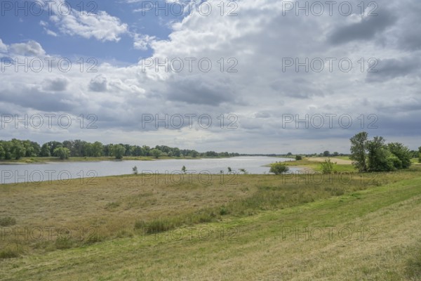 Elbe between Lenzen and Wittenberge, floodplain landscape, Brandenburg, Germany