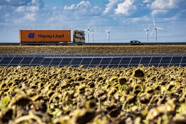 86, 5 MW peak ground-mounted photovoltaic systems, by RWE, with over 141, 000 solar modules, on a verge, over 1 km long, along the A44 motorway near Bedburg, at the Jackerath junction, recultivated open-cast mining site, field with sunflowers, North Rhine-Westphalia, Germany