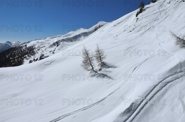 Alpe Tognola ski area, San Martino di Castrozza, Trentino, South Tyrol, Italy