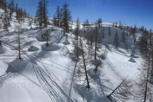 Alpe Tognola ski area, San Martino di Castrozza, Trentino, South Tyrol, Italy