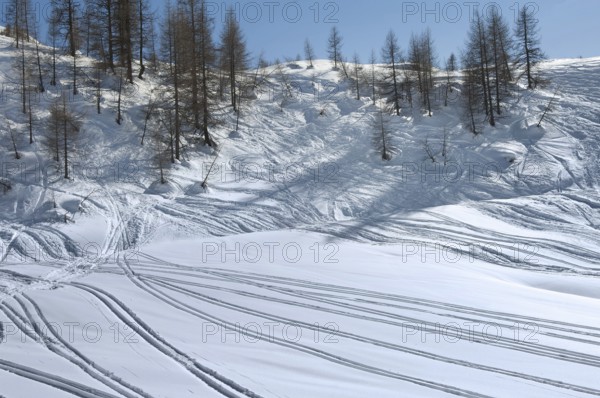 Alpe Tognola ski area, San Martino di Castrozza, Trentino, South Tyrol, Italy
