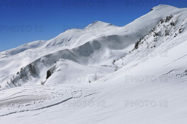Alpe Tognola ski area, San Martino di Castrozza, Trentino, South Tyrol, Italy