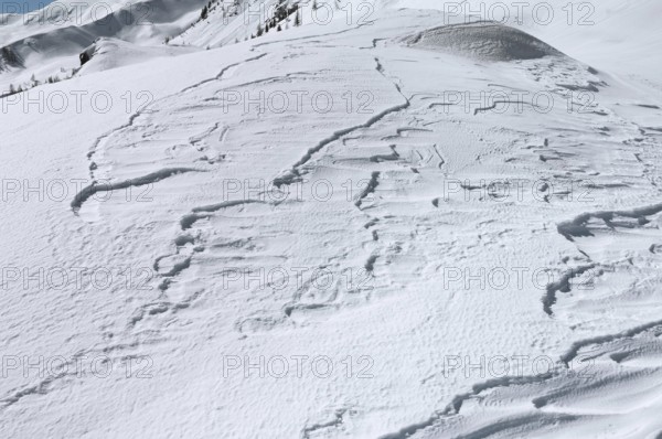 Snow drifts, Alpe Tognola ski area, San Martino di Castrozza, Trentino, South Tyrol, Italy