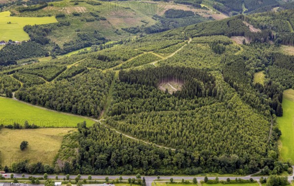 Aerial view, forest area wind fallow with forest damage, hilly landscape, Bad Berleburg, Wittgensteiner Land, North Rhine-Westphalia, Germany, trees, flora, forestry, hill, landscape, aerial view, nature, topography, environment, environmental damage, forest area, forest management, forest damage, forest management, forest ecosystem, wind fallow, destruction, rural, vegetation, ecological