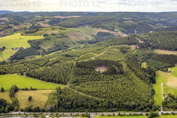Aerial view, forest area wind fallow with forest damage, hilly landscape with distant view, Bad Berleburg, Wittgensteiner Land, North Rhine-Westphalia, Germany, view, trees, drone image, distant view, forestry, hill, hilly landscape, season, landscape, aerial perspective, nature, outdoor, damage area, summer, environmental influences, environmental protection, environmental damage, forest, forest area, forest damage, reforestation, wind break, vegetation