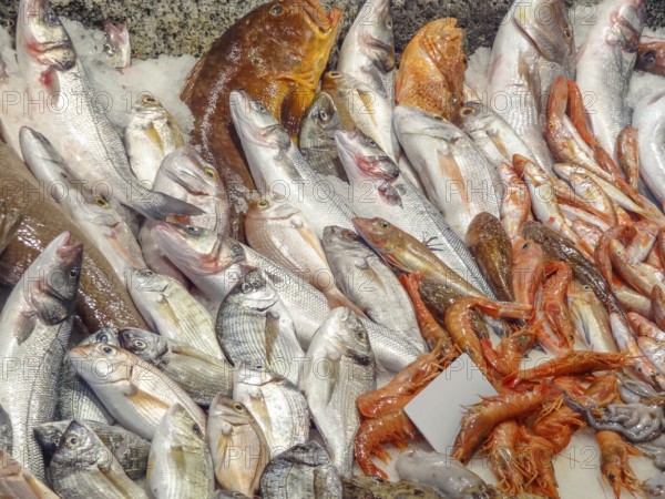 Lots of seafood seen at a market in Italy