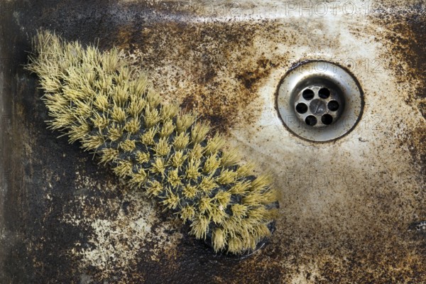 Detail shot of a old dirty sink with scrubber inside
