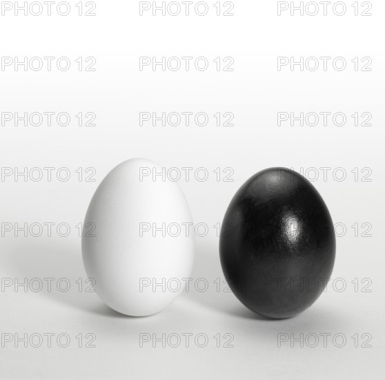 Symbolic theme showing a black and a white egg upright side by side in light back