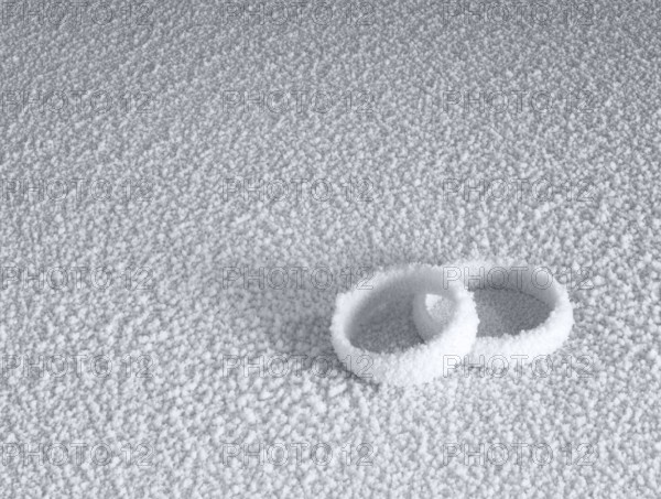 Studio photography of two frosted wedding rings in cold ambiance