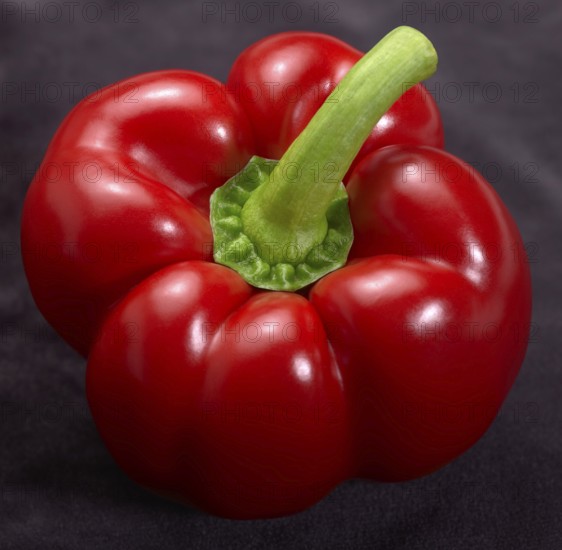 Fresh red bell pepper in dark back