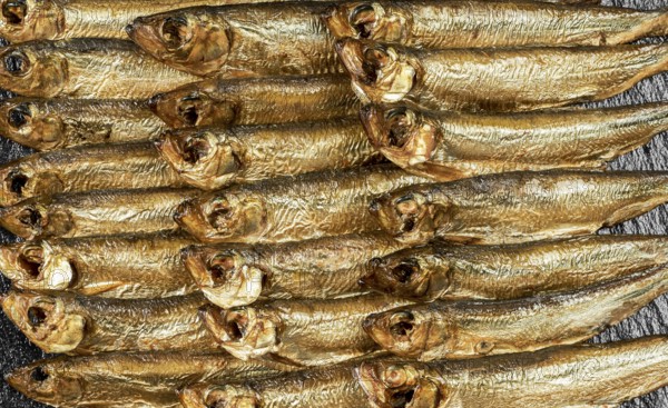 Arrangement with lots of fresh smoked sprats