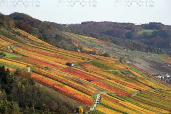 Idyllic rural autumn scenery with lots of colorful vineyards at the Kochertal in Southern Germany