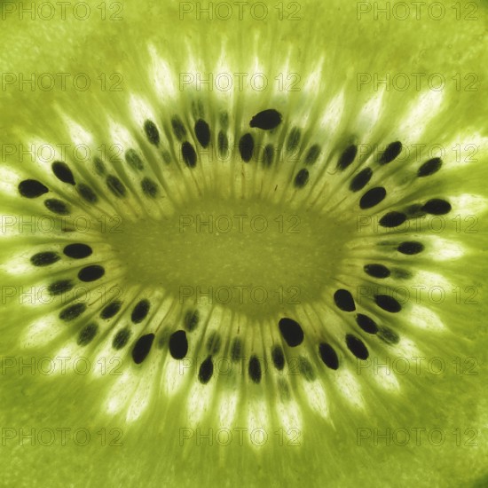 Full frame detail of a thin translucent sliced kiwifruit