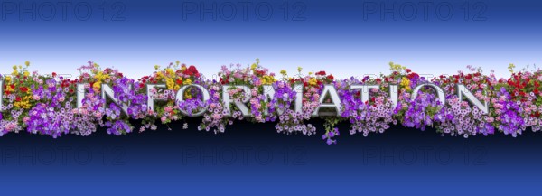 Information lettering framed by colorful flowers in gradient blue back