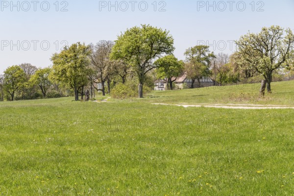 Idyllic rural scenery showing a farmstead behind some trees at spring time in Southern Germany