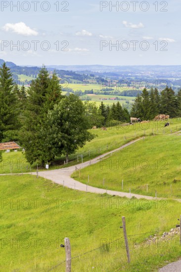 Idyllic scenery around the Immenstaedter Horn, a mountain in the Upper Allgaeu in Bavaria, Germany