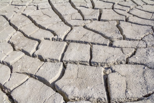 Natural abstract background of fissured dry loam