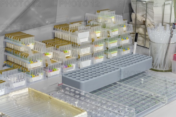 Detail of a workplace for microbiological research