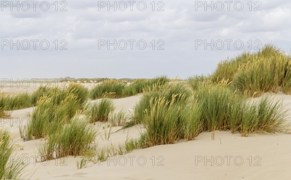 Beach scenery seen at Spiekeroog, one of the East Frisian Islands at the North Sea coast of Germany