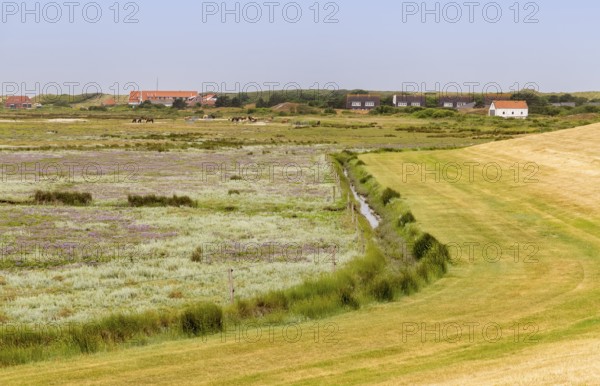 Impression of Spiekeroog, one of the East Frisian Islands at the North Sea coast of Germany