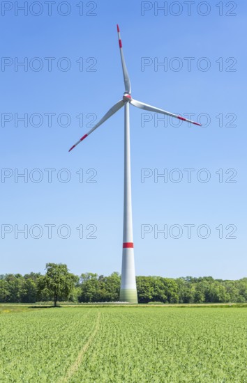 Wind turbine in sunny rural landscape