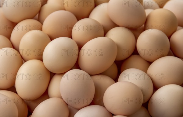 Full frame background showing lots of brown eggs