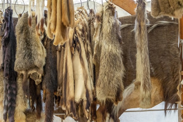 Various hanging fur pieces seen at a medieval market