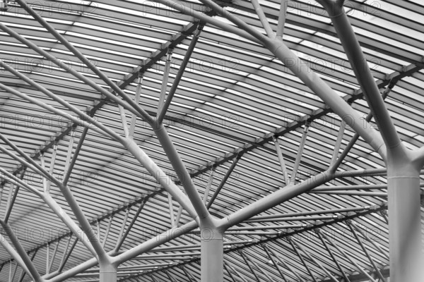 Full frame detail showing the substructure of a modern metallic roof construction