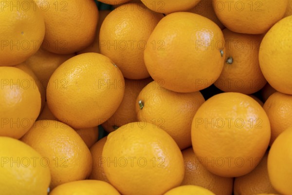Full frame shot showing lots of fresh orange lemon fruits