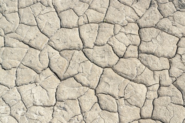 High angle view of a sunny illuminated dry and clefty soil surface