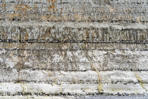 Chalk cliff closeup seen near Fecamp, a commune in the department of Seine-Maritime at the Normandy region in northwestern France
