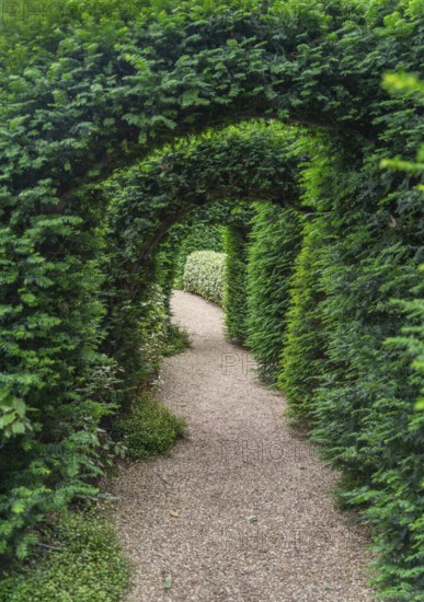 Idyllic garden scenery showing some green plant arches over a footpath at summer time seen in Normandy, France