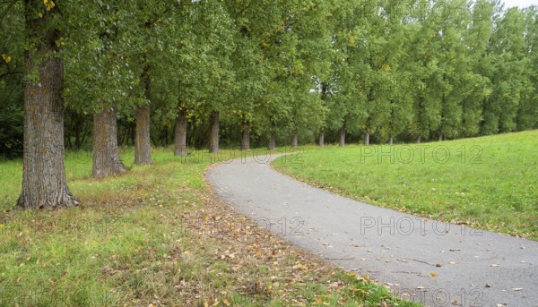 Rural avenue near Buehlertann in Southern Germany