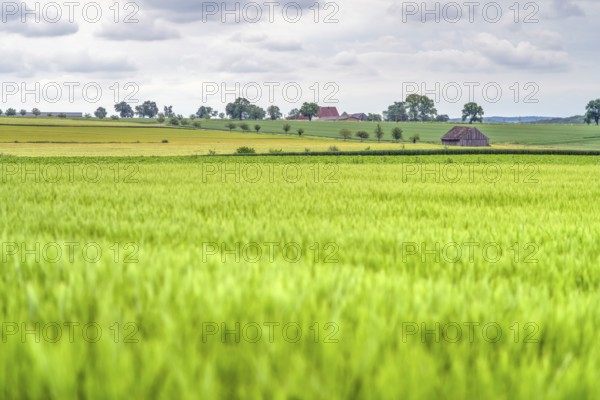 Idyllic rural scenery in Hohenlohe, a area in Southern Germany