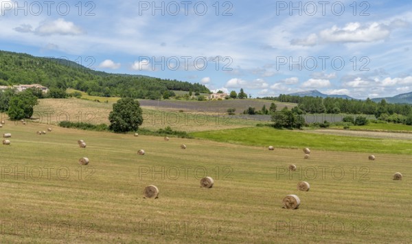 Impression around Mont Ventoux, a mountain in the Provence region of southern France