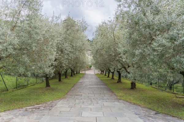 Impression around the Piona Priory or Piona Abbey, a religious complex on the Lecco bank of Lake Como in the territory of the comune of Colico, northern Italy
