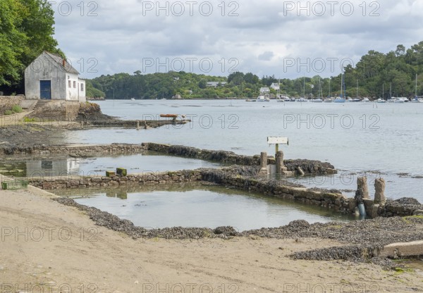 Coastal scenery at the Belon River in Brittany, France