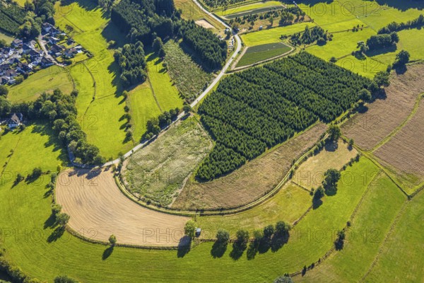 Aerial view, Christmas tree cultivation fields, Heinsberg, Kirchhundem, Sauerland, North Rhine-Westphalia, Germany, cultivation, trees, DE, Europe, aerial view, aerial photography, aerial photography, overview, bird's-eye view, Christmas tree cultivation, birds-eyes view, overview
