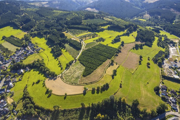 Aerial view, Christmas tree cultivation fields, Heinsberg, Kirchhundem, Sauerland, North Rhine-Westphalia, Germany, cultivation, trees, DE, Europe, aerial view, aerial photography, aerial photography, overview, bird's-eye view, Christmas tree cultivation, birds-eyes view, overview